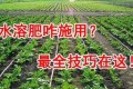 全面解析，水溶肥的精準施用方法——10大實用技巧