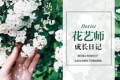 小雛菊的正確養護方法，成功延長花期至30天！