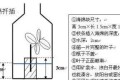 1個塑料瓶放塊海綿，插出100盆月季，開成花海，美翻天