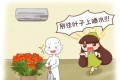 家裡有這6種花，<em>葉子千萬別噴水，</em>否則立馬就爛