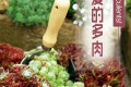 多肉植物養護手冊，貼心指南