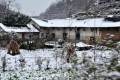 農村諺語「一九有雪，九九不缺」啥意思？<em>有道理嗎？</em>