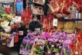 <em>新年要烊頭！</em>上海人家擺上這些<em>年宵花</em>，讓你又喜又旺！魔都購花攻略來了