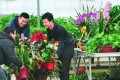 4月逛花市，留心「這3種花」，適合撿漏，老花匠都會買一些