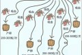 <em>蚊子打不盡與交配有關！</em>滅蚊率94%實驗已成功，為何不推廣？