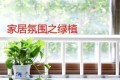 這10種綠植擺家裡，營造生機氣息，提高設計檔次