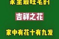 家家都得有的鎮宅花，就選4種，養一棵，貴人輩出