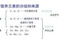 缺鎂對玉米生長的影響及如何科學補充鎂營養