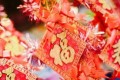 養盆「守護神」，讓家裡一年紅紅火火，好運不斷！