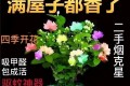 ​建議：春天買花，別買6種「晦氣花」，不是迷信，是過來人的經驗