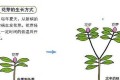 <em>杜鵑花花後如何修剪，</em>是摘掉花柄還是剪掉枝頭？