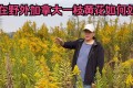 來勢洶洶！湖北武漢發現上千畝「<em>霸王花</em>」，它究竟有多「毒」？